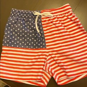 Chubbies American Flag Mens Swim Trunks 
